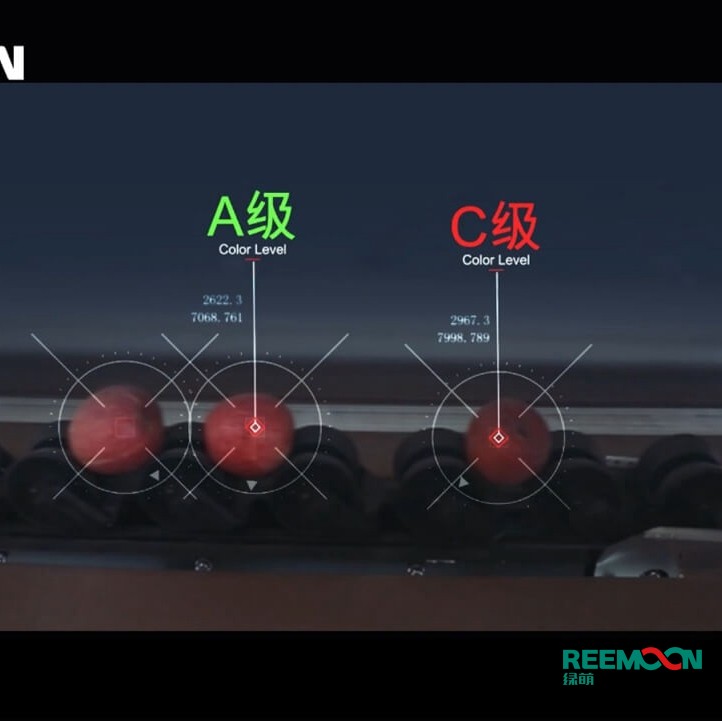 綠萌水果分選機多少錢？江西綠萌科技控股有限公司廠家直銷報價