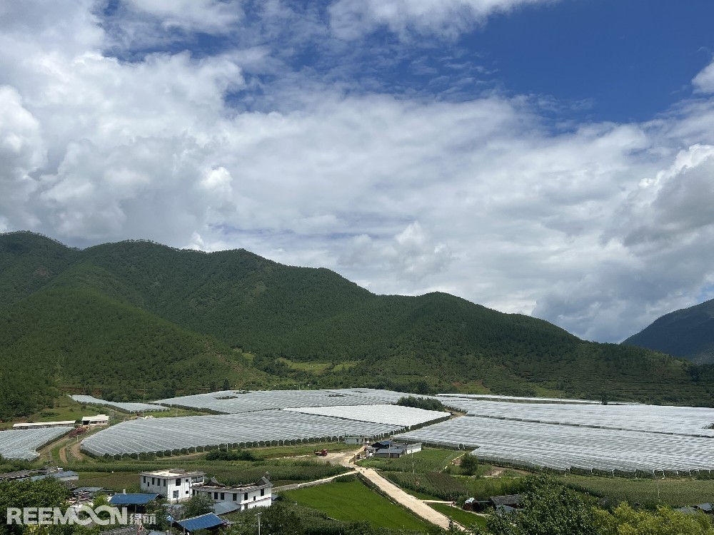 麗江市蘋果種植主產區海拔2400-2700米，良好的立體環境條件造就了麗江蘋果糖度高、果肉緊密、硬度高、無污染的品質特點。2019年，在全國種植產區的甄選中，鑫榮懋選定了云南省麗江市蘋果優勢產區作為未來蘋果種植項目的實施地，目前已種植新西蘭引進的優良蘋果品種。鑫榮懋以新品種、新技術及高品質為發展蘋果種植的新契機，